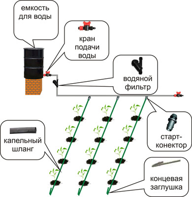 Капельный полив растений