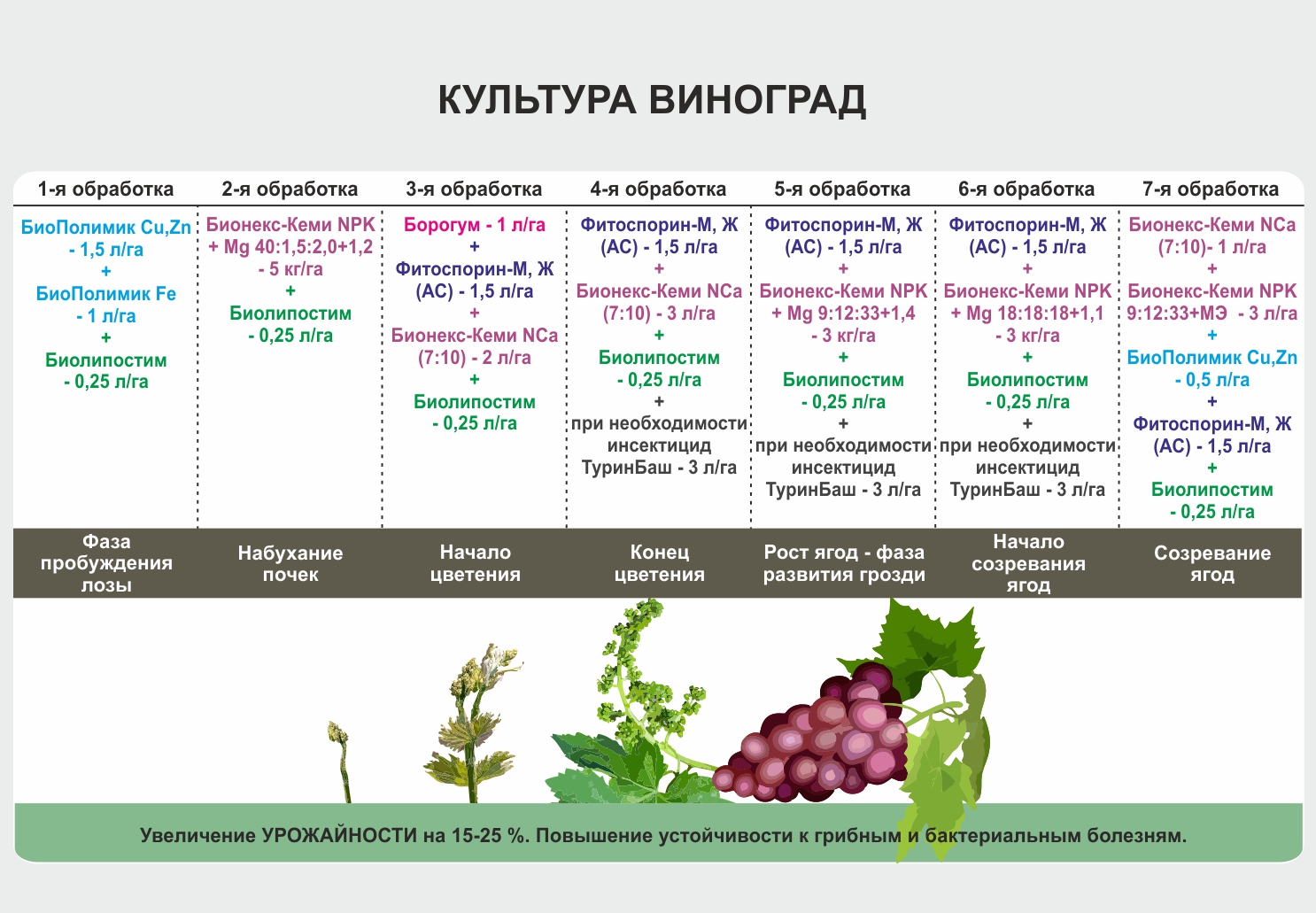 Обработка малины весной от вредителей и болезней народными средствами и щадящими препаратами